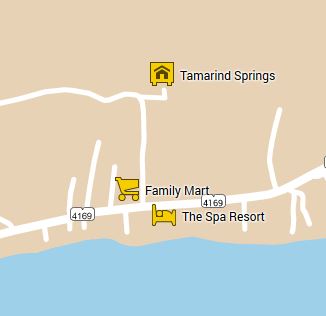 map google